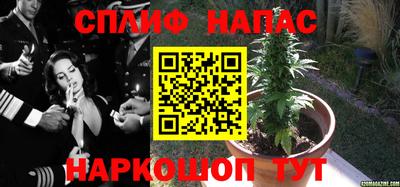 молекула духа Белореченск