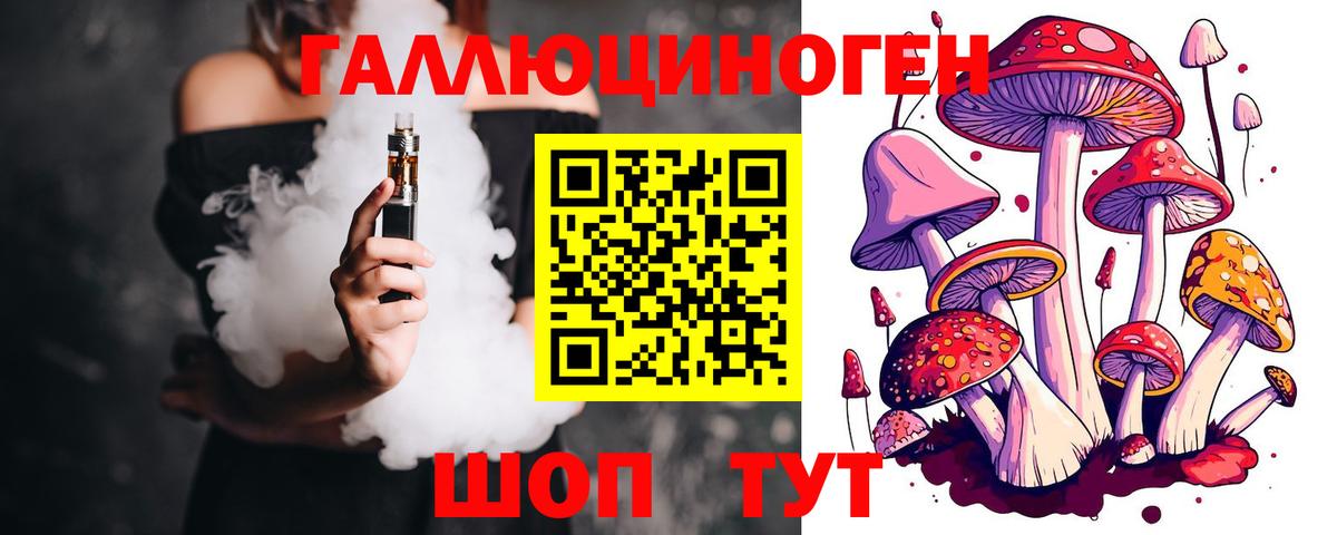 Псилоцибиновые грибы Magic Shrooms  закладка  Грозный  Вход с VPN  Псилоцибиновые грибы MAGIC MUSHROOMS 