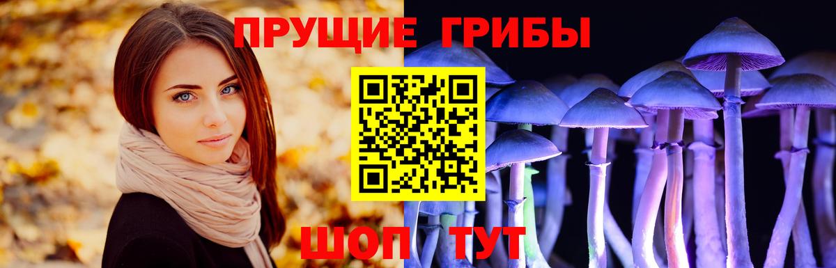 Псилоцибиновые грибы ЛСД Грозный